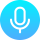 voice